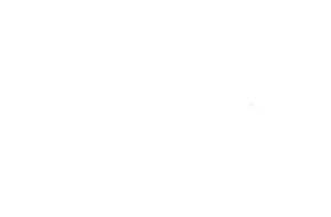 Bigshopper google CSS partner